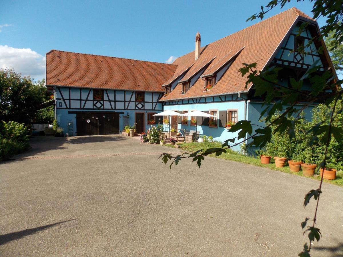 Le Gite Bleu Willgottheim Exterior photo